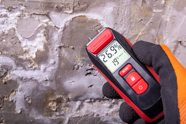 Best Professional Mold Removal  in South Waverly, PA