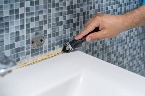 Best Toxic Mold Removal  in South Waverly, PA