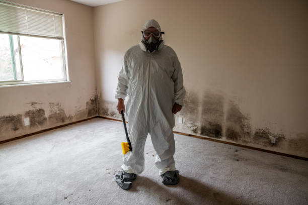 Best Office Mold Removal Services  in South Waverly, PA